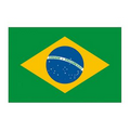 Brazil Flag Temporary Tattoo